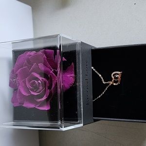 ETERNAL LOVE S925 PROJECTION NECKLACE